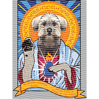 Animal Integration-DW 1020